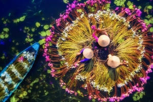 Vẻ đẹp ngoạn mục của Việt Nam nhìn từ trên tầm cao