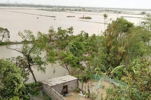 Nam Định: Khẩn trương phòng, chống bão số 3