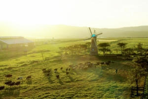 Kinh tế tuần hoàn: Chìa khóa mở “cánh cửa” phát triển bền vững Kinh tế tuần hoàn: Chìa khóa mở “cánh cửa” phát triển bền vững