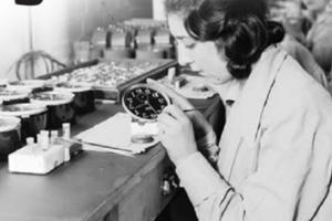 “Sát thủ” giấu mặt trong nhà máy vẽ mặt đồng hồ