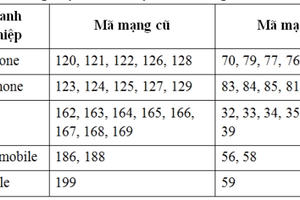 Rậm rịch triển khai chuyển đổi mã mạng từ 11 số sang 10 số