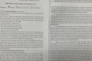 Lâm Đồng: Dân nhận đất giao khoán trồng chè kêu cứu vì bị “gây sức ép”?