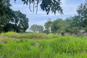 Cần xử lý dứt điểm tình trạng lãng phí tài nguyên đất ở hai dự án của Công ty Cổ phần Đô thị Amata Biên Hòa