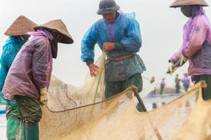 Nghề "cứu đói" cho người dân ở vùng biển Đồng Châu