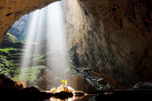 Đứa con làng Phong Nha nối nhịp cầu “trả nợ” rừng xanh Đứa con làng Phong Nha nối nhịp cầu “trả nợ” rừng xanh