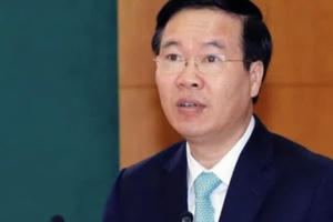 Quy định quyền hạn Ban chỉ đạo phòng chống tham nhũng, tiêu cực cấp tỉnh