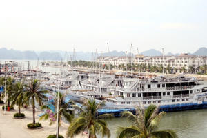 Quảng Ninh: Chủ động phòng chống bão số 5, tạm dừng cấp lệnh xuất bến các phương tiện thủy trên địa bàn Quảng Ninh: Chủ động phòng chống bão số 5, tạm dừng cấp lệnh xuất bến các phương tiện thủy trên địa bàn