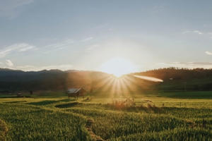 Rong ruổi Mù Cang Chải trong những ngày "trốn dịch"