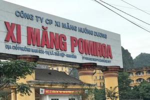 Công ty Cổ phần xi măng Hướng Dương kê khai thuế sai quy định