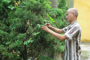 Nỗi niềm nam phạm nhân 45 tuổi lỡ tay thiêu chết 'vợ hờ'