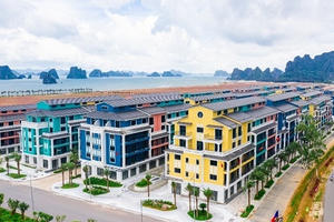 CEO Group: Bức tranh tài chính ảm đạm, Cục thuế TP Hà Nội phạt và truy thu tiền tỷ