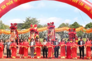 Hướng đi nhiều tiềm năng cho thị trường tổ yến Đắk Lắk