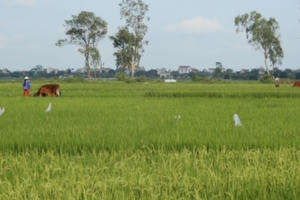 Chuyển mục đích sử dụng đất tại Thái Nguyên