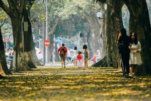 [Infographics]: Thu Hà Nội - Mùa gây thương nhớ