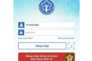 Hơn 1,75 triệu lượt đăng nhập ứng dụng VssID