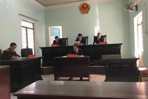 Gia Lai: Hệ lụy từ một vụ án dân sự kéo dài 5 năm chưa có hồi kết