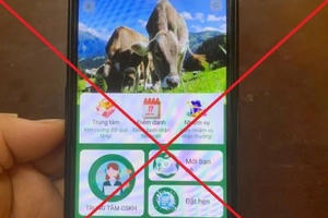 Công an cảnh báo hai đường link "nuôi bò" độc hại với ít nhất 751 người đã là nạn nhân