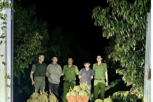 Bắt quả tang hai đối tượng dùng ô tô 7 chỗ đi trộm cắp sầu riêng ở Đắk Lắk