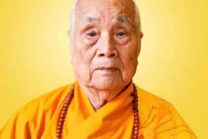 Đức phó Pháp chủ Giáo hội Phật giáo Việt Nam Thích Thanh Đàm viên tịch