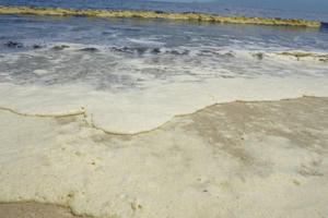 Đà Nẵng: Xuất hiện vệt nước màu đen dài 700 m dọc bờ biển Nguyễn Tất Thành