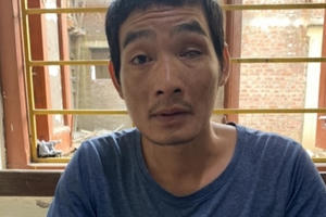 Bắc Kạn: Bắt hai đối tượng truy nã nguy hiểm