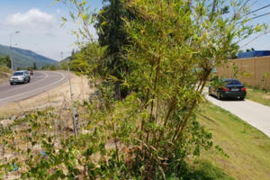 Chủ tịch Bình Định: Làm resort không cần phải xin phép đấu nối QL(?!)