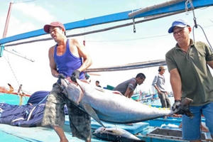 Thành lập Quỹ hỗ trợ phát triển nghề cá Khánh Hòa