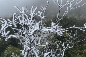 Thận trọng khi du lịch ngắm tuyết tại miền núi