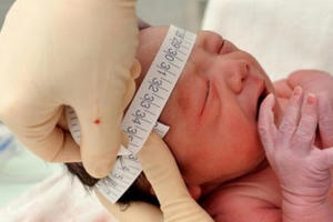 Vi rút Zika đã "áp sát" Việt Nam Vi rút Zika đã "áp sát" Việt Nam