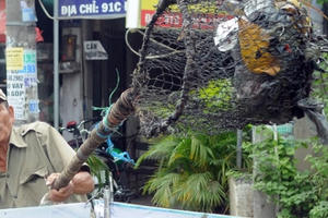 TPHCM: Người thương binh mỗi ngày vớt hàng trăm kg rác "giải cứu" dòng kênh