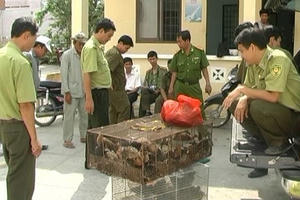 Đồng Tháp: Báo động thực trạng săn bắt, buôn bán động vật hoang dã