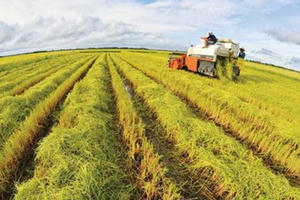 "Nhất nông, nhì sĩ" xưa, nay "Nhất nông, nhì sĩ" xưa, nay