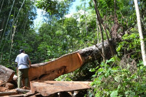 Hà Giang và những lình xình trước khi xảy ra vụ gian lận trong thi cử