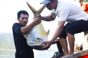 Hà Tĩnh: 11 ngư dân thu 600 triệu sau một đêm ra khơi