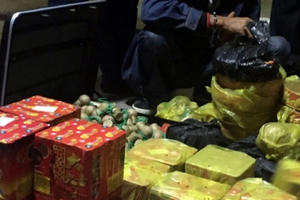 Quảng Ninh: Lần đầu đi buôn pháo thì bị công an "tóm sống"