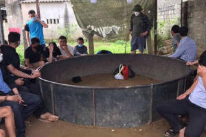 Hơn 70 cảnh sát siết vòng vây phá trường gà bắt nhiều đối tượng