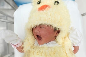 Trẻ sơ sinh mặc đồ con gà đón Tết tại bệnh viện Thái Lan