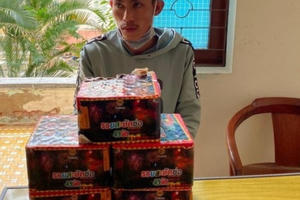 Mua pháo với người không rõ lai lịch, thanh niên bị bắt giữ