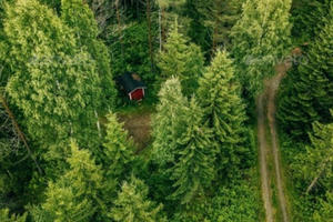 Bài học giải cứu rừng từ Vương quốc Na Uy