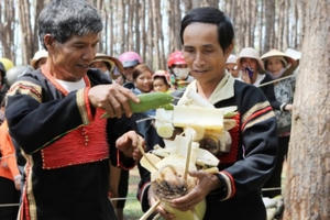 "Tây Nguyên đại ngàn” giữa lòng Hà Nội