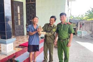 Quảng Bình: Bàn giao 01 cá thể động vật hoang dã Cu li cho Hạt Kiểm lâm chăm sóc theo quy định