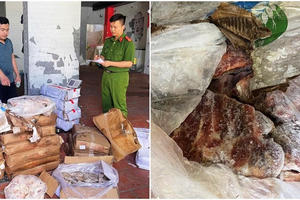 Niêm phong, tạm giữ gần 2,5 tấn thực phẩm đông lạnh không có hóa đơn, chứng từ