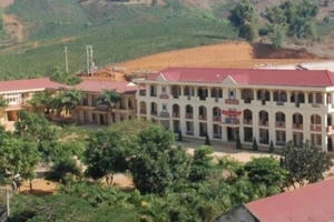 Vụ nhân viên bếp bỏ thuốc sâu vào thức ăn của học sinh ở Sơn La: Có thể xử lý về tội giết người?