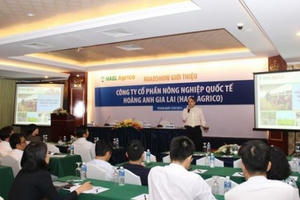 HAGL lãi 120 tỷ năm 2021, cổ phiếu HAG thăng hoa