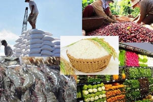 Rộng cửa xuất khẩu nông sản