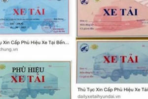 “Cò” phù hiệu xe tải tung hoành, doanh nghiệp hoang mang