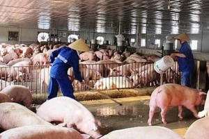 Phá bỏ cam kết với bộ trưởng, doanh nghiệp lớn tăng giá ăn lãi đậm