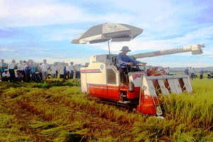 Quảng Ngãi: Phân bổ 394,2 tỷ đồng xây dựng nông thôn mới