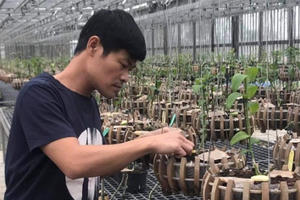 Chiến sĩ công an đam mê loài hoa Lan