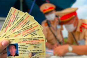 Những trường hợp bị thu hồi Giấy phép lái xe theo Quy định mới nhất